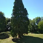 Konukevi Chateau De St Alyre Sanssat