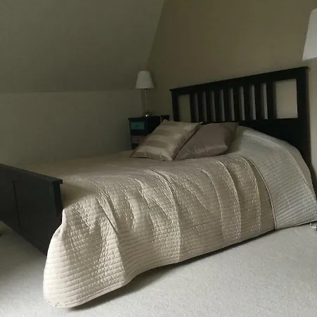 Chateau De St Alyre 4*