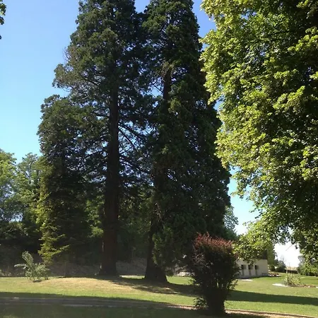 Chateau De St Alyre Pensionat 4*