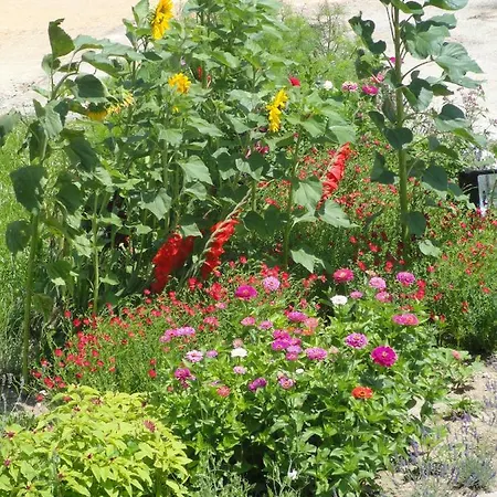 Chateau De St Alyre 4*