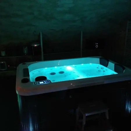 Chateau De St Alyre Pensionat 4*