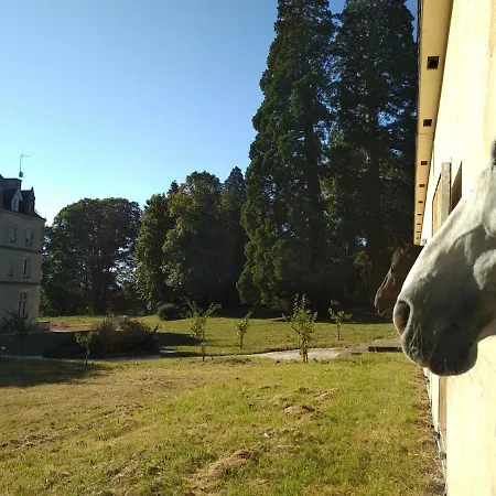 Vendégház Chateau De St Alyre 4*