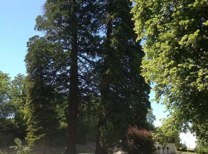 Chateau De St Alyre Vendégház 4*