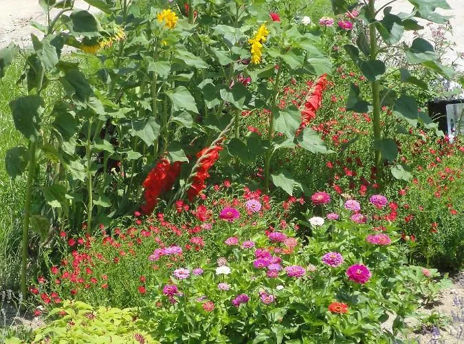 Chateau De St Alyre 4*