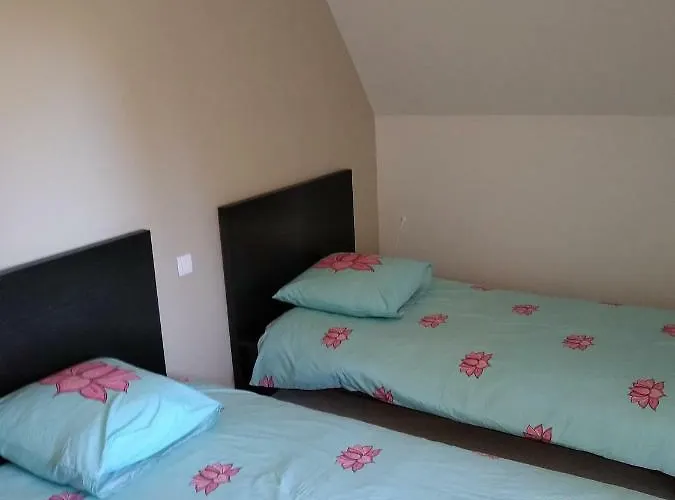 Chateau De St Alyre Πανσιόν Sanssat