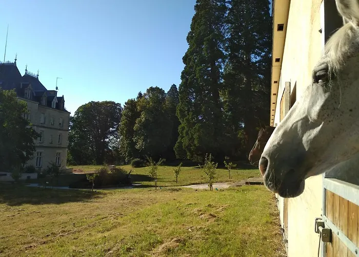 Vendégház Chateau De St Alyre 4*