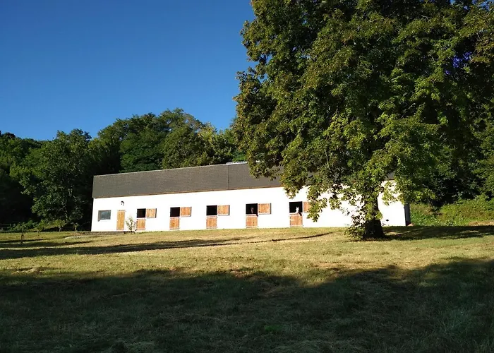 Chateau De St Alyre 4* Sanssat