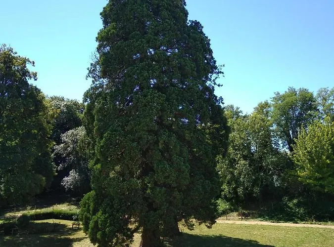 Vendégház Chateau De St Alyre Sanssat